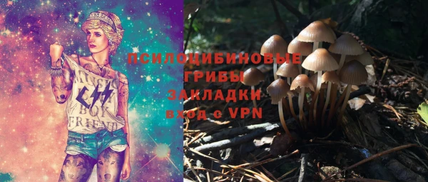 твердый Верея