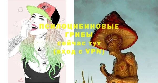 хмурый Вяземский